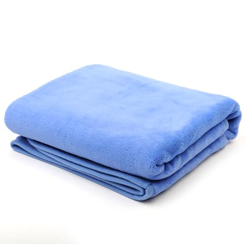 Filersong ダブル毛布 ブランケット 大判 ふわふわ マイクロファイバー 掛け毛布 タオルケット フランネル 軽量 薄い毛布 四季適用(200×
